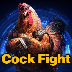 home_cockfight_on1